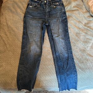American Eagle Outfitters Dark Blue Men's Straight Jeans